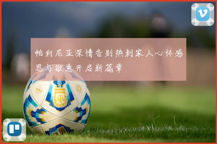 帕利尼亚深情告别热刺家人心怀感恩与敬意开启新篇章